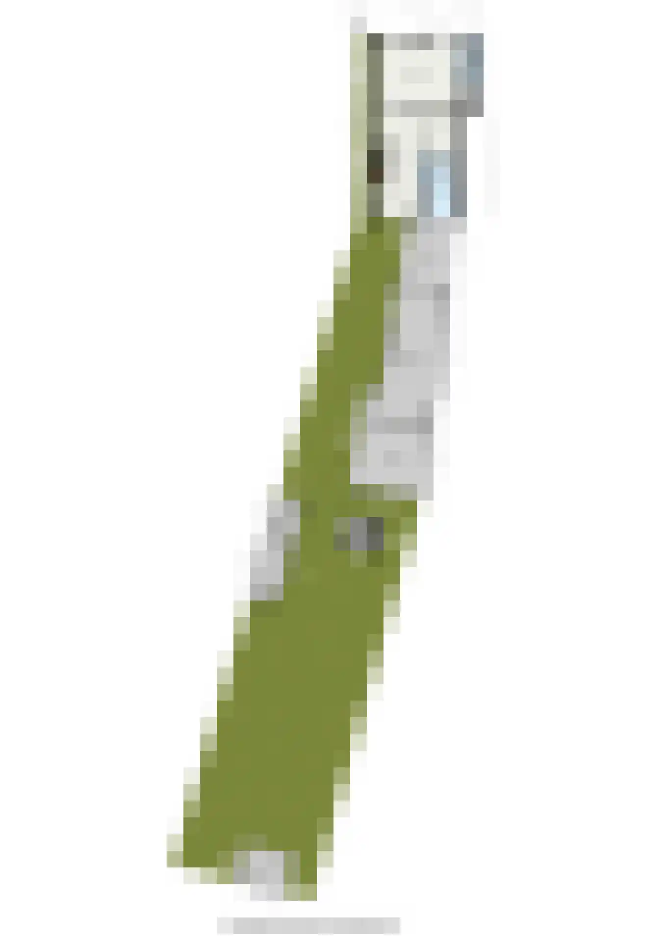 Wilhelminastraat 30 Heinenoord thumbnail 63