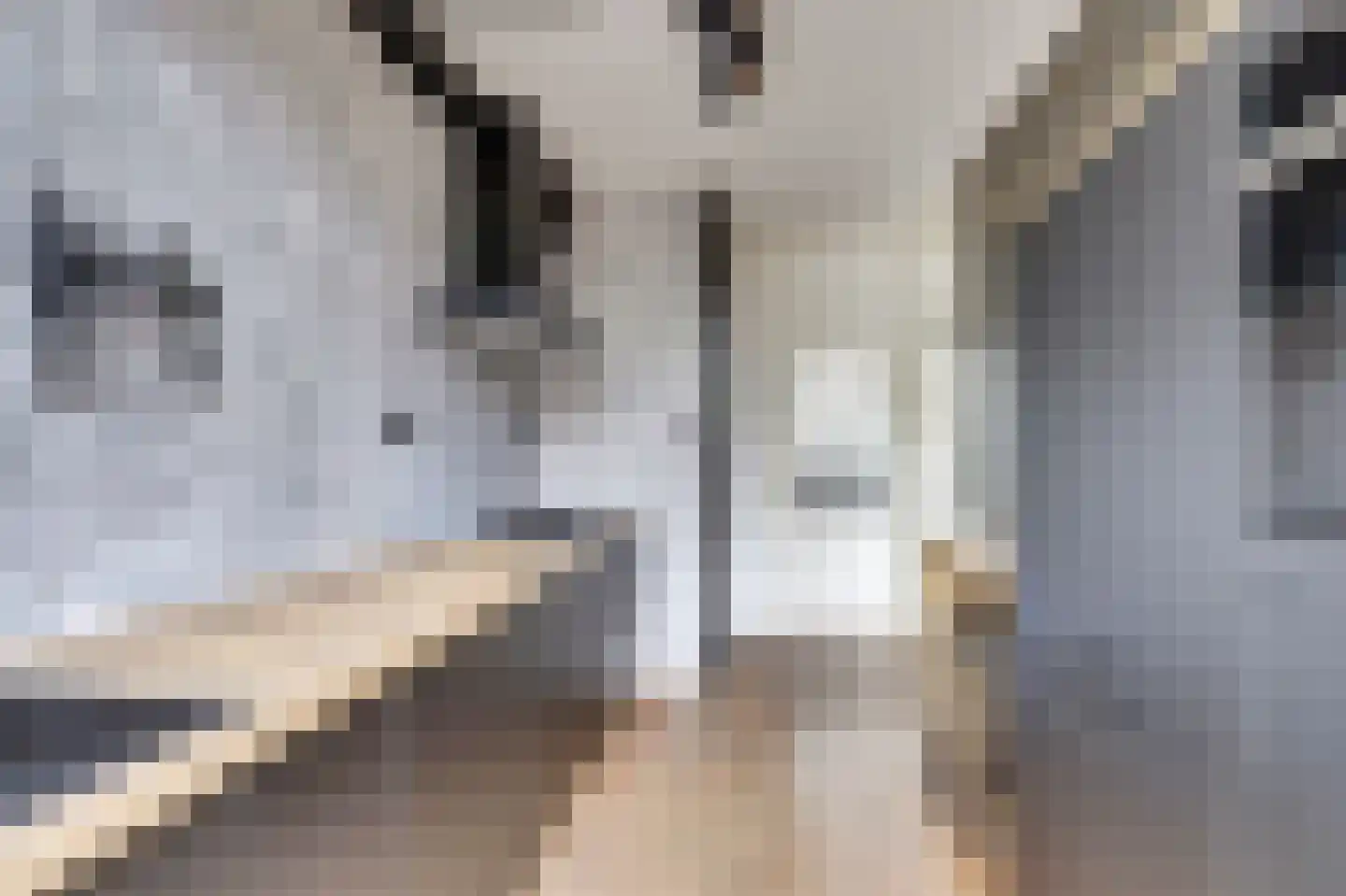 Wilhelminastraat 30 Kortgene thumbnail 12