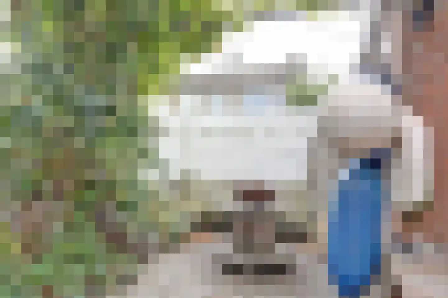 Wilhelminastraat 30 Kortgene thumbnail 27