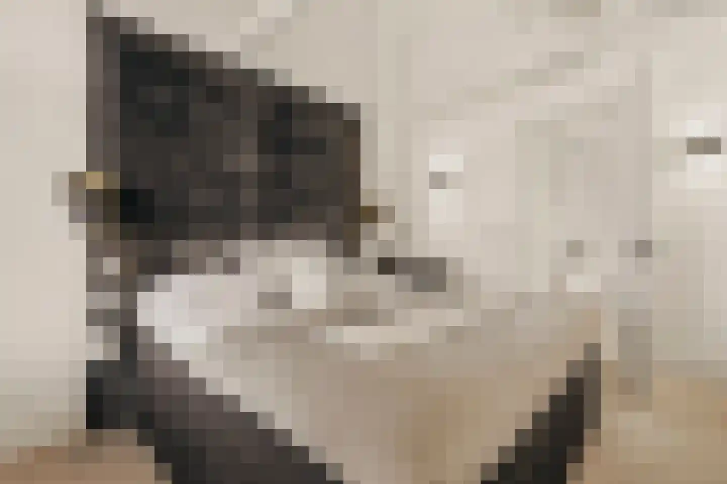 Wilhelminastraat 30 Krommenie thumbnail 10