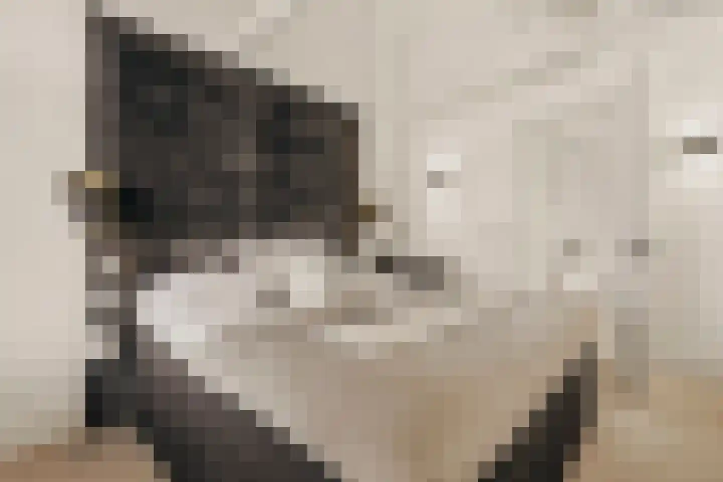 Wilhelminastraat 30 Krommenie thumbnail 10