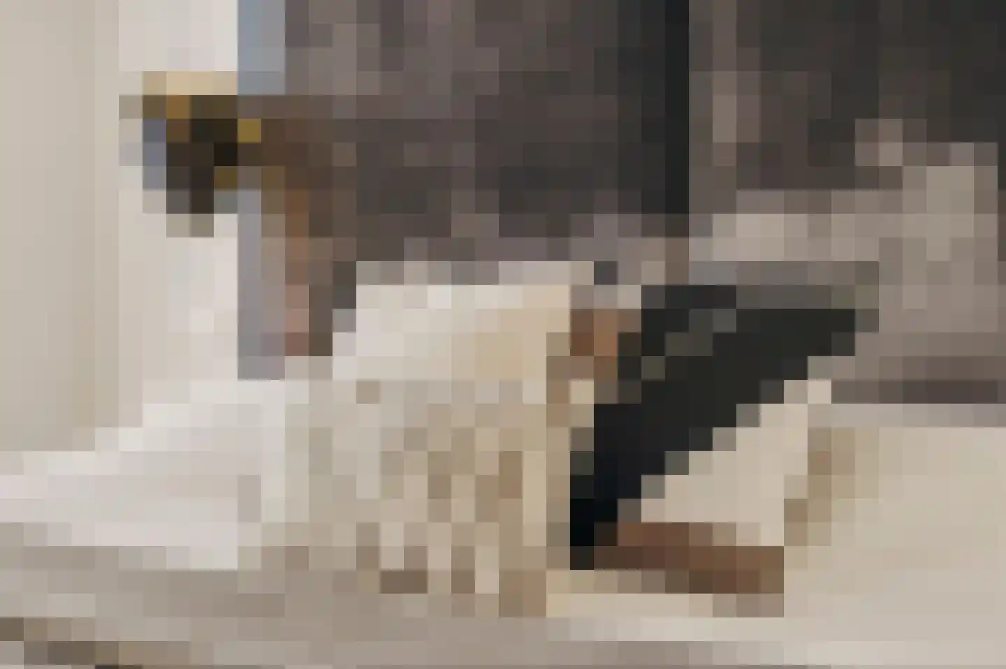 Wilhelminastraat 30 Krommenie thumbnail 11