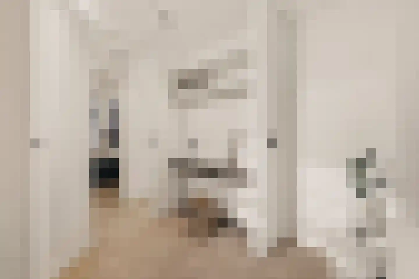 Wilhelminastraat 30 Krommenie thumbnail 12