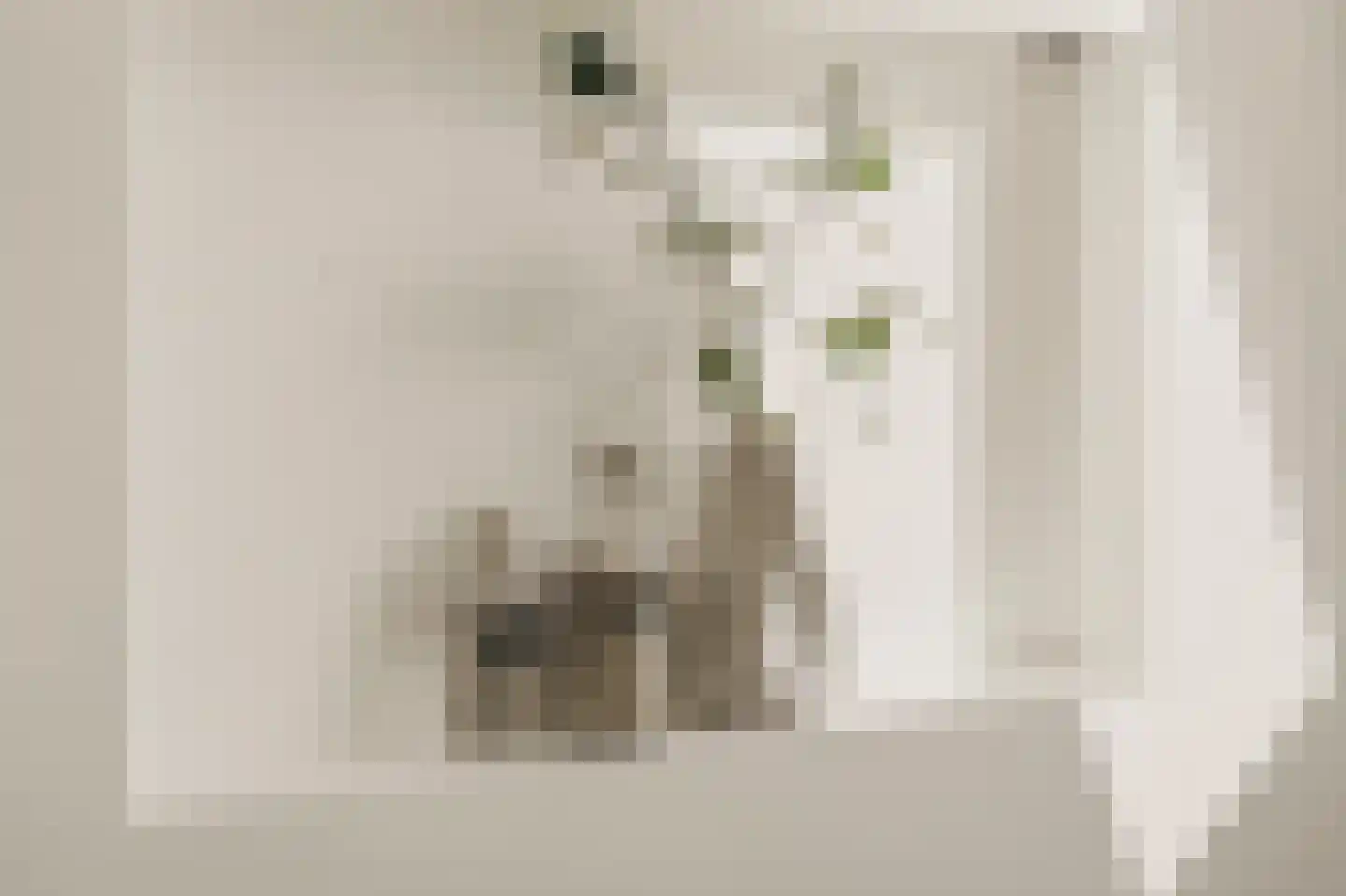 Wilhelminastraat 30 Krommenie thumbnail 14