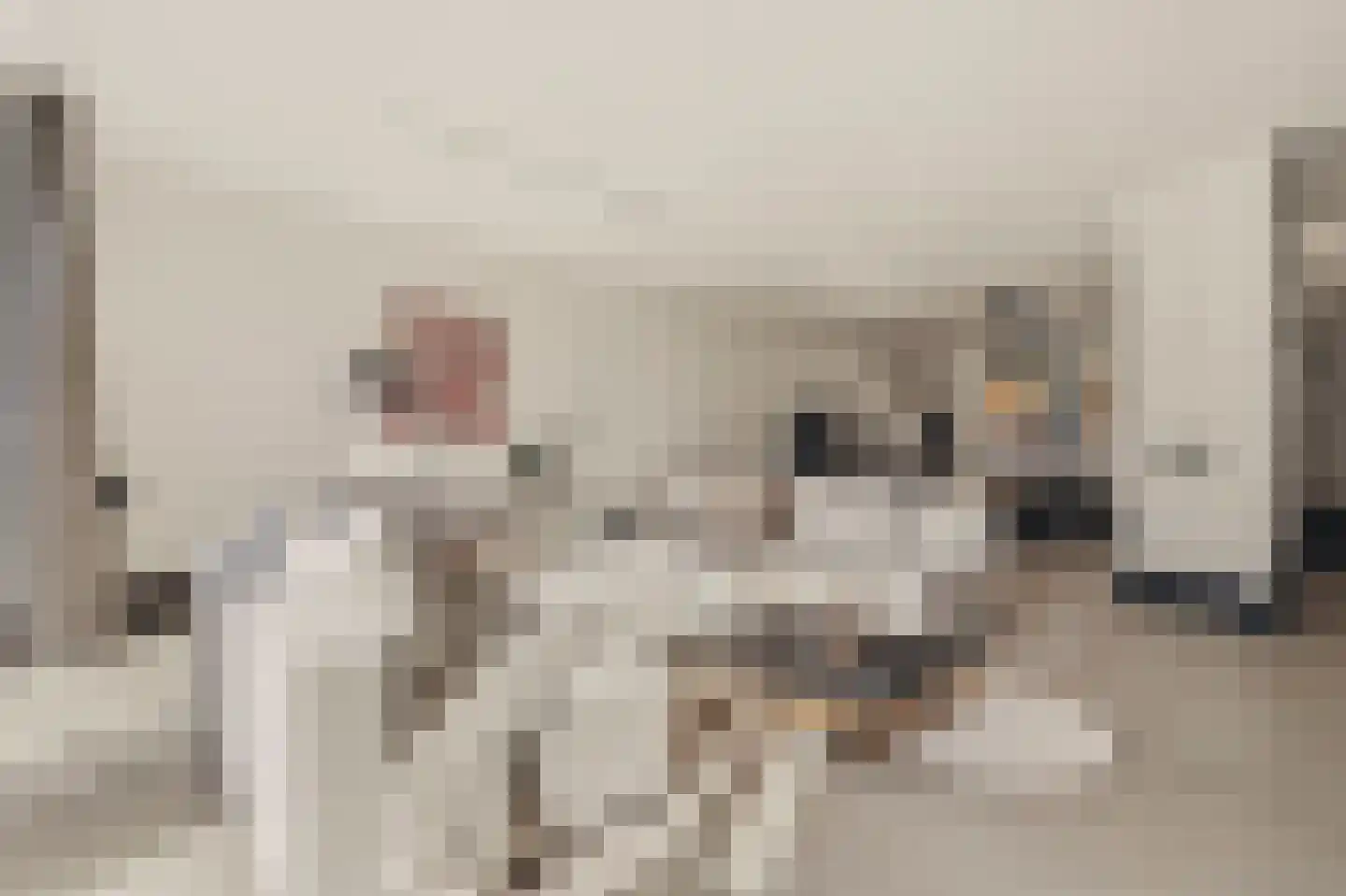 Wilhelminastraat 30 Krommenie thumbnail 15