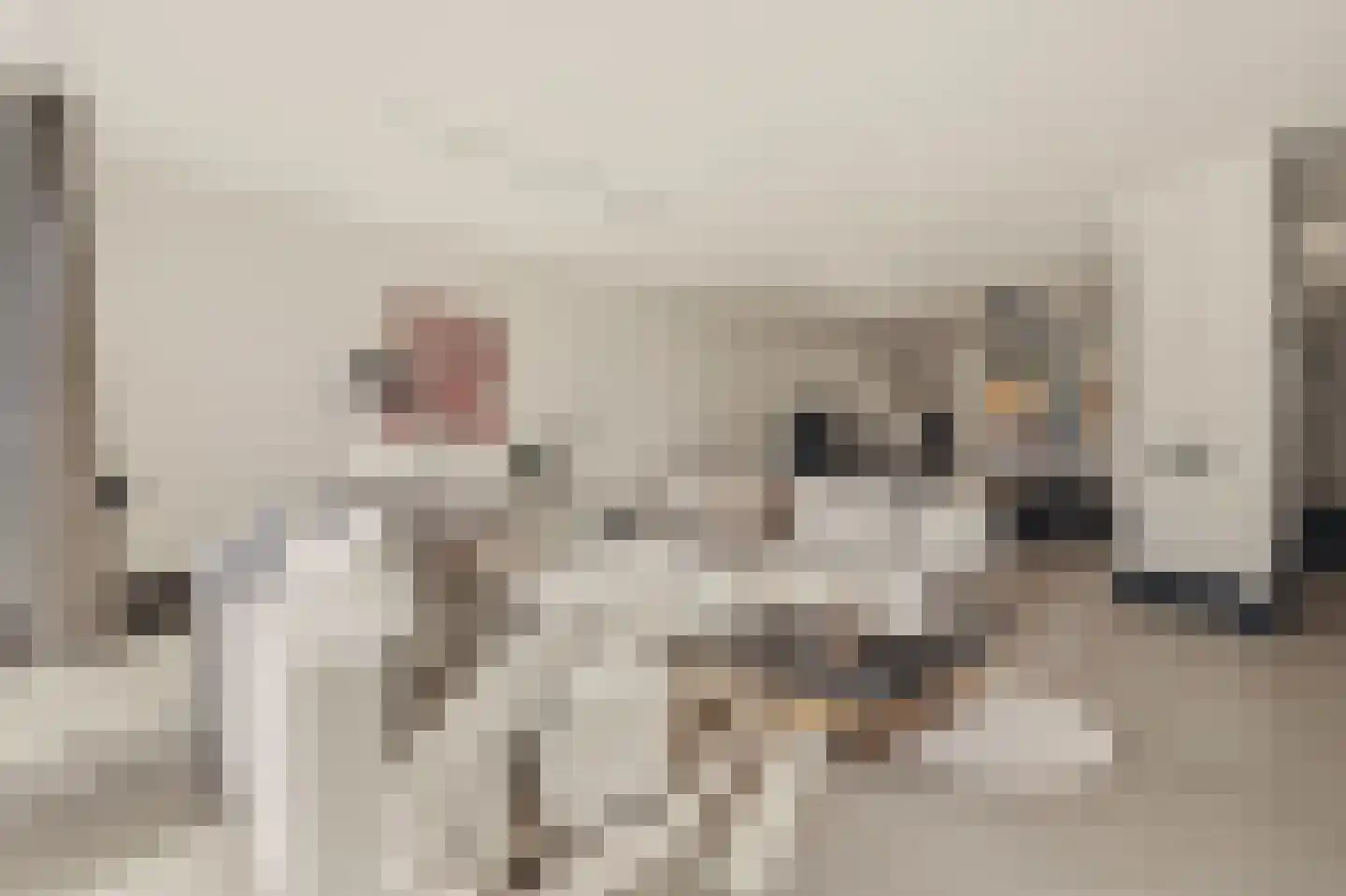 Wilhelminastraat 30 Krommenie thumbnail 15