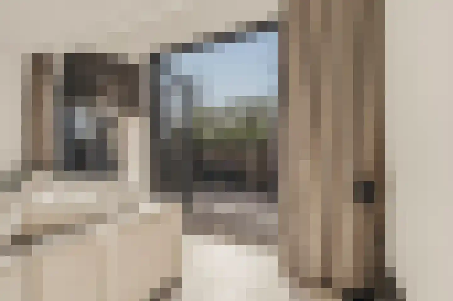 Wilhelminastraat 30 Krommenie thumbnail 21
