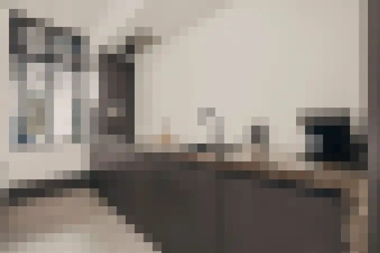 Wilhelminastraat 30 Krommenie thumbnail 24
