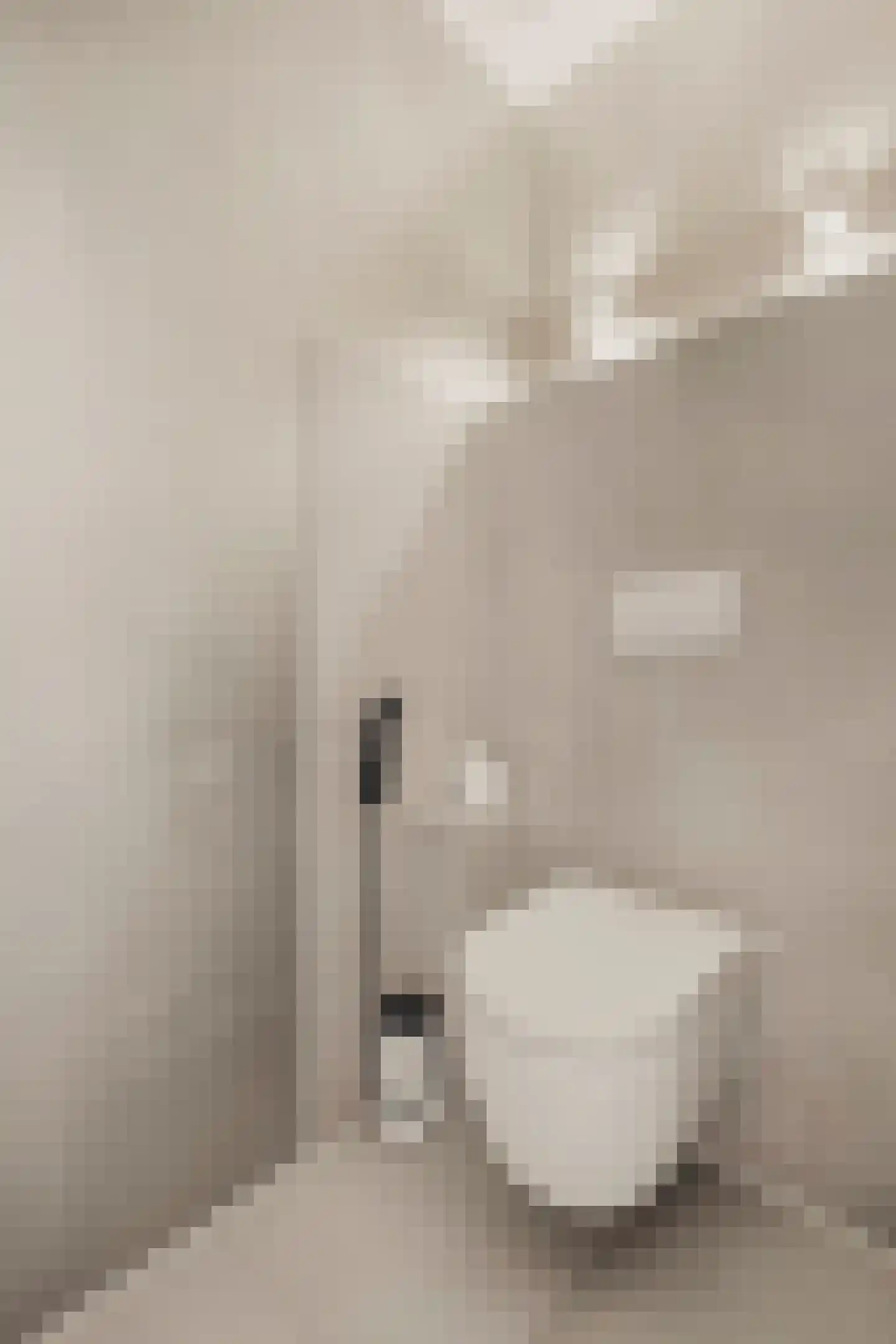 Wilhelminastraat 30 Krommenie thumbnail 31