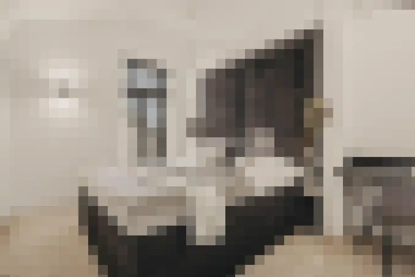 Wilhelminastraat 30 Krommenie thumbnail 34