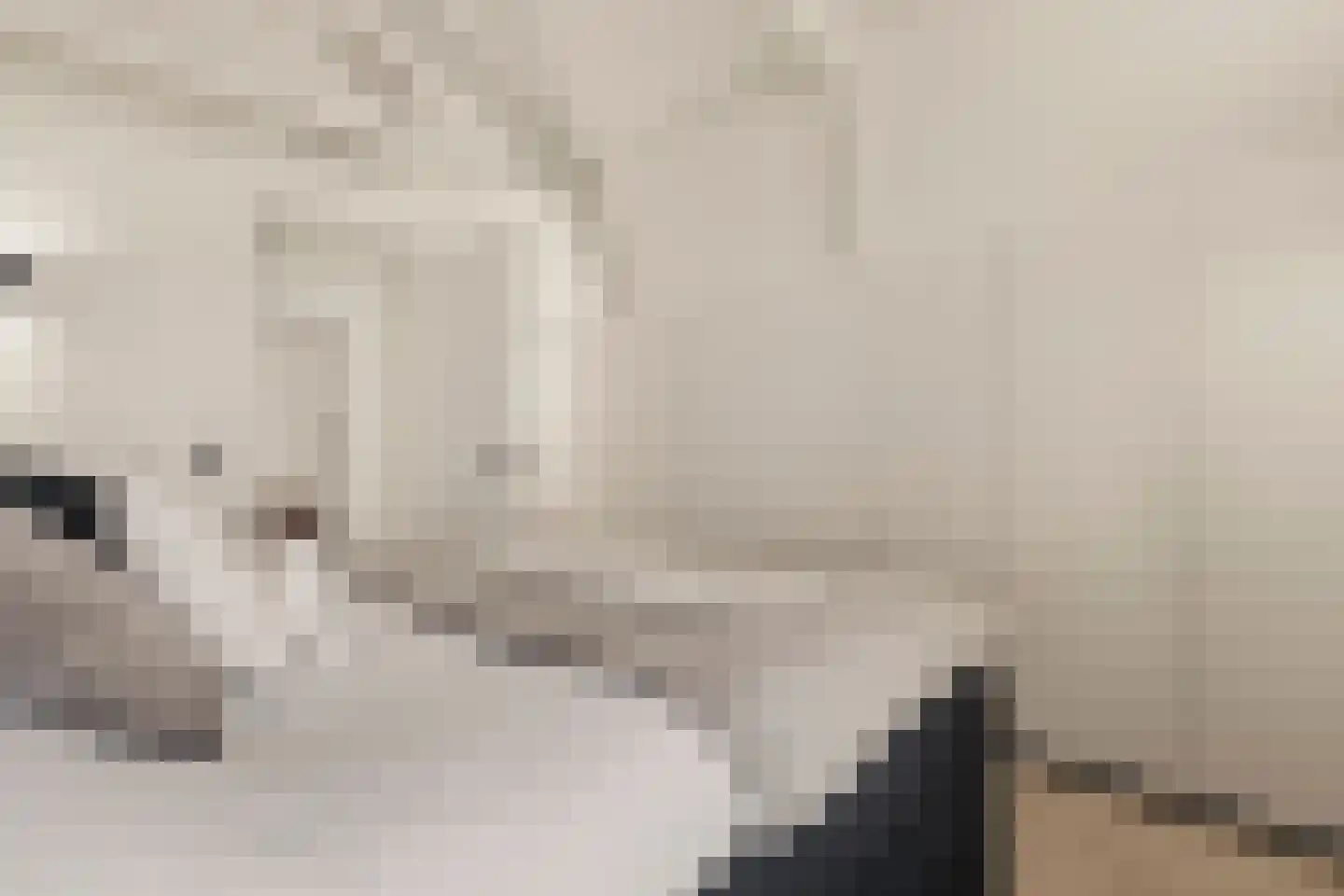 Wilhelminastraat 30 Krommenie thumbnail 37