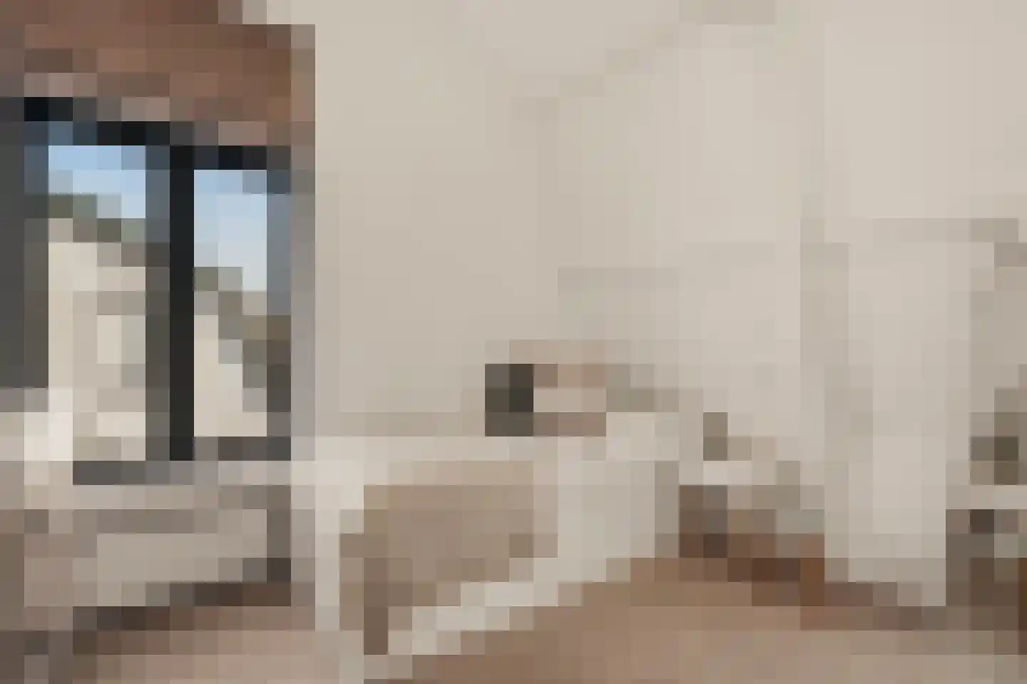 Wilhelminastraat 30 Krommenie thumbnail 38