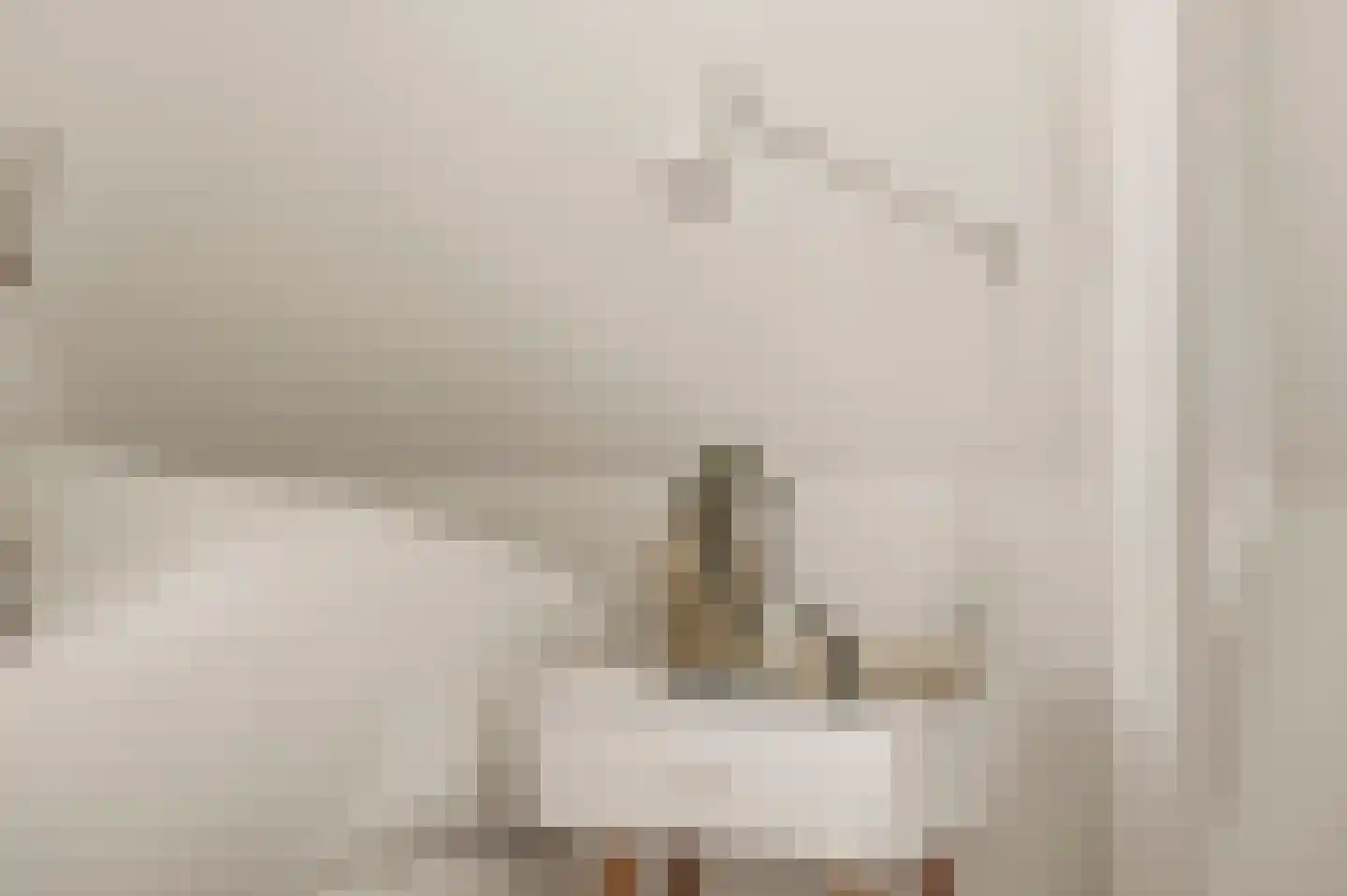 Wilhelminastraat 30 Krommenie thumbnail 39