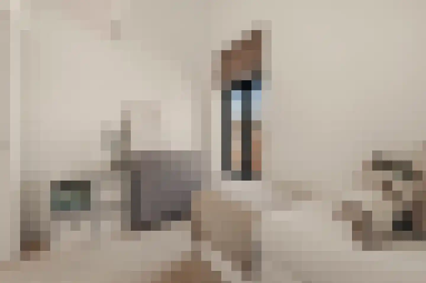Wilhelminastraat 30 Krommenie thumbnail 40