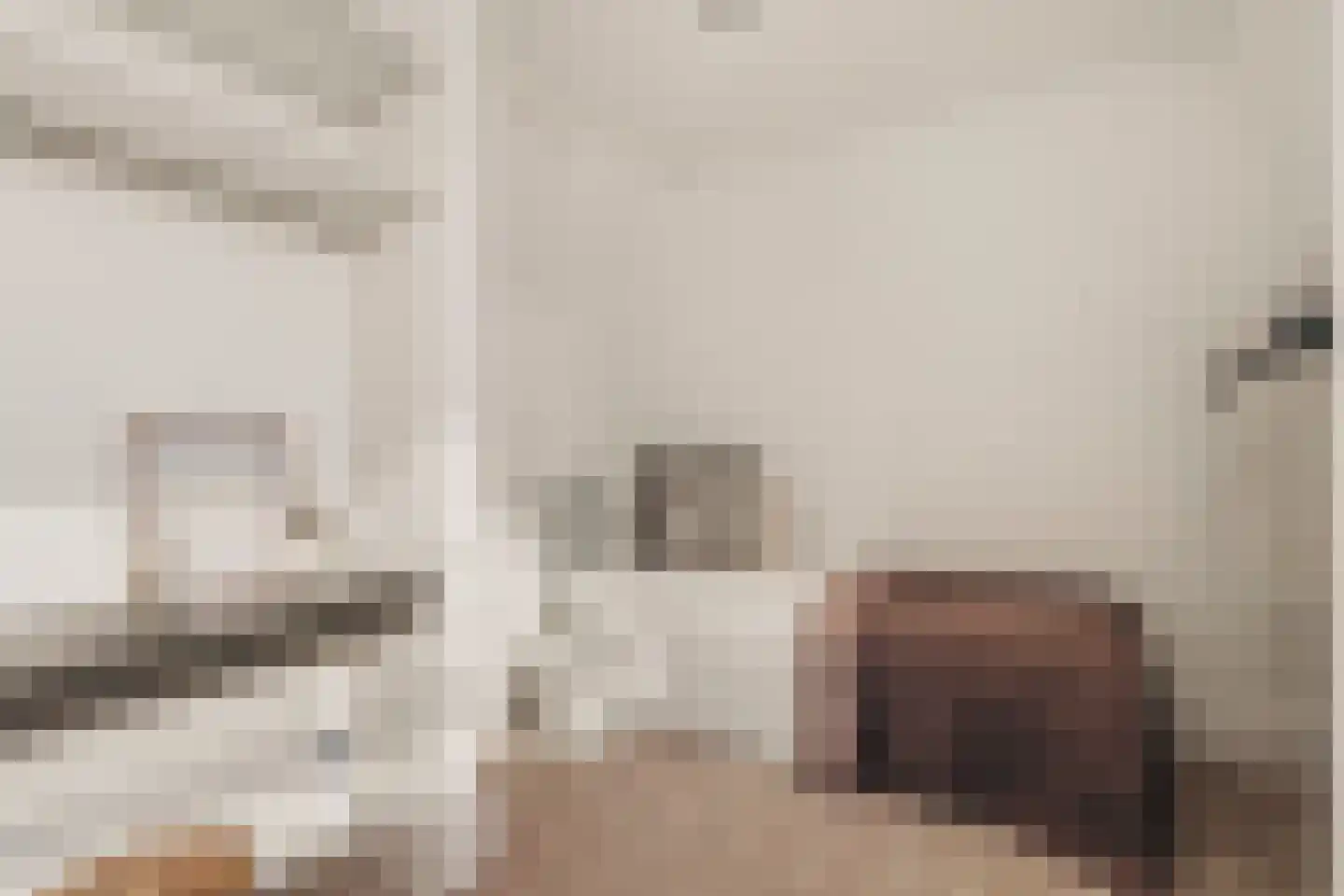 Wilhelminastraat 30 Krommenie thumbnail 42
