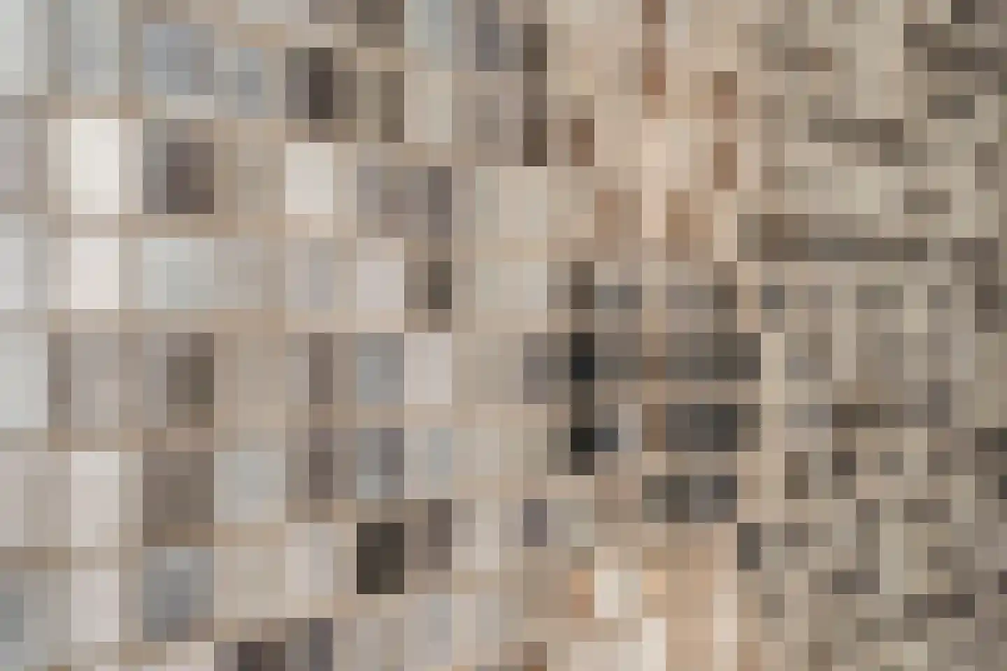 Wilhelminastraat 30 Krommenie thumbnail 49