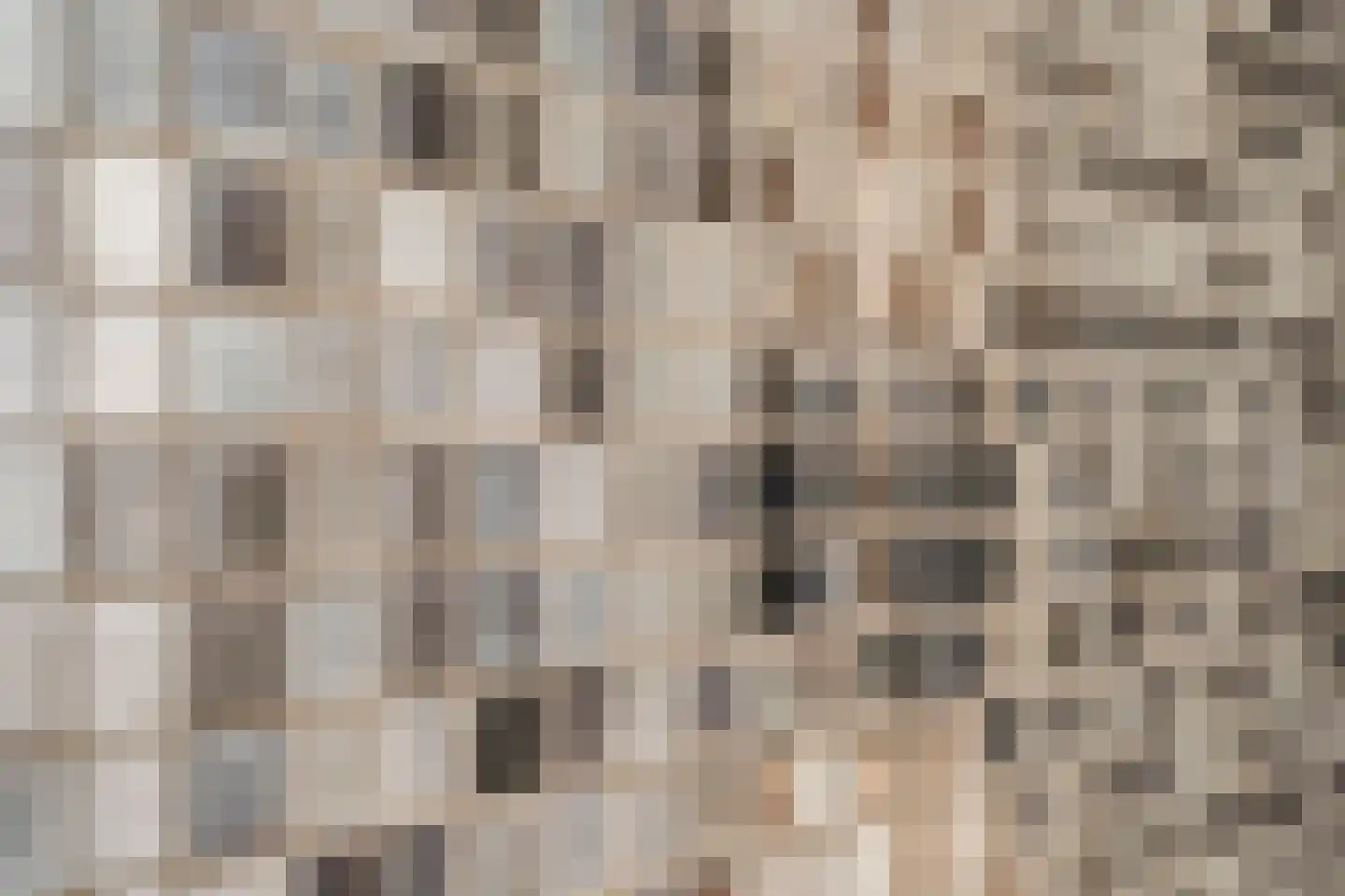 Wilhelminastraat 30 Krommenie thumbnail 49