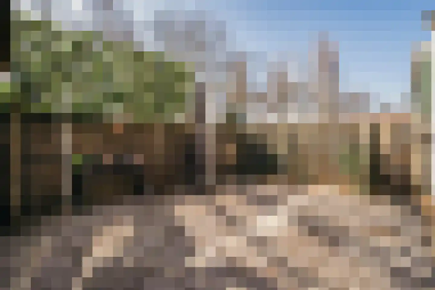 Wilhelminastraat 30 Krommenie thumbnail 56