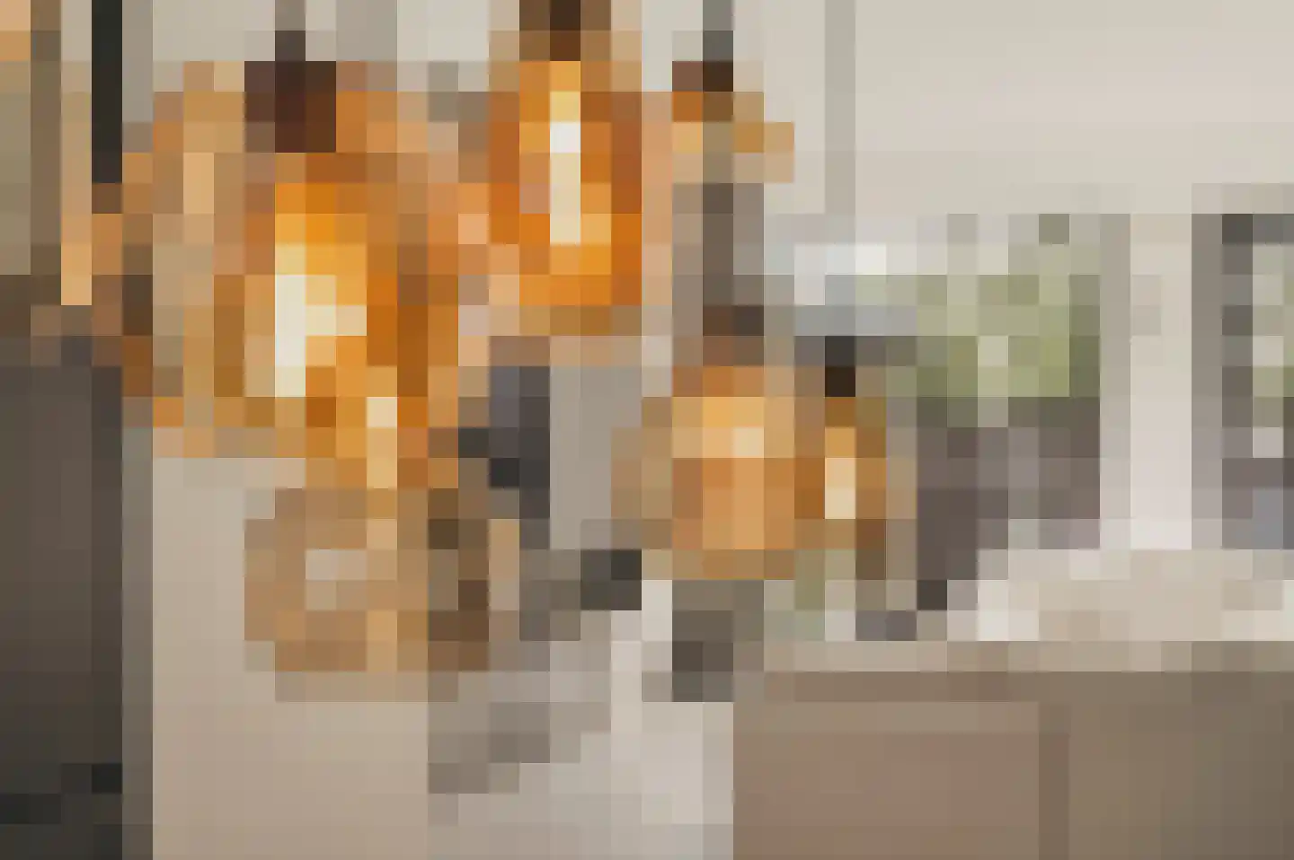 Wilhelminastraat 30 Krommenie thumbnail 9