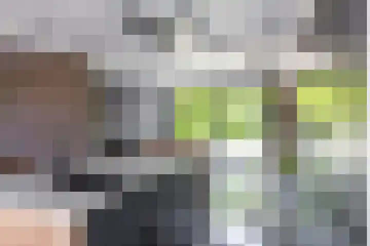 Wilhelminastraat 30 Zoutkamp thumbnail 12