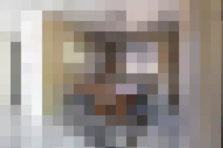 Wilhelminastraat 30 Zoutkamp thumbnail 18