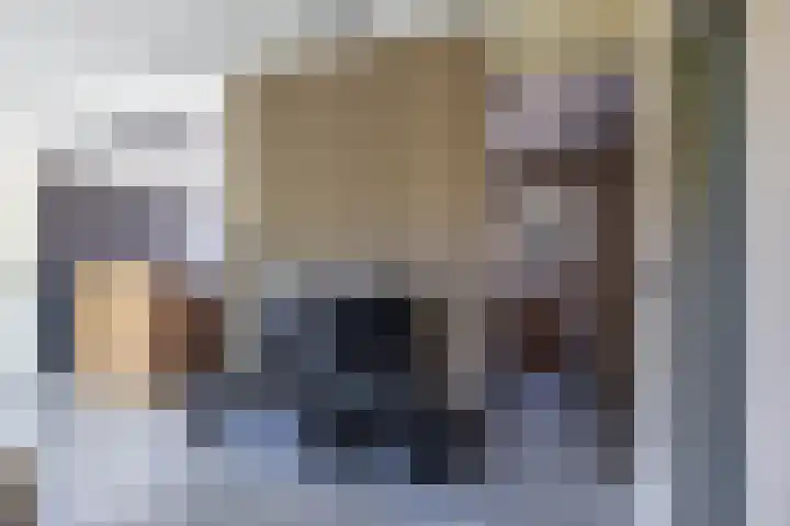 Wilhelminastraat 30 Zoutkamp thumbnail 23