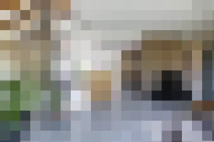 Wilhelminastraat 30 Zoutkamp thumbnail 24