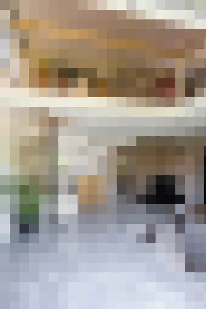Wilhelminastraat 30 Zoutkamp thumbnail 26