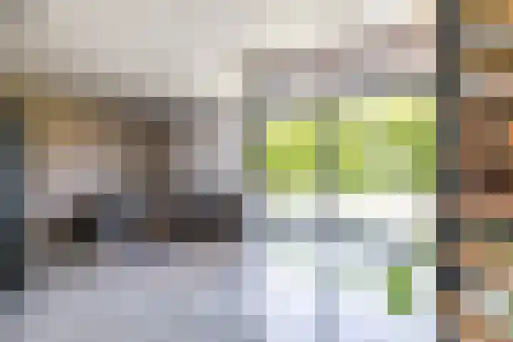 Wilhelminastraat 30 Zoutkamp thumbnail 27
