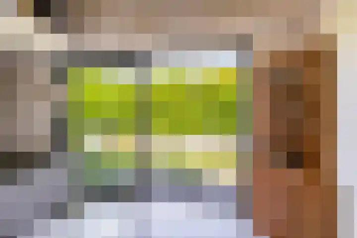 Wilhelminastraat 30 Zoutkamp thumbnail 28