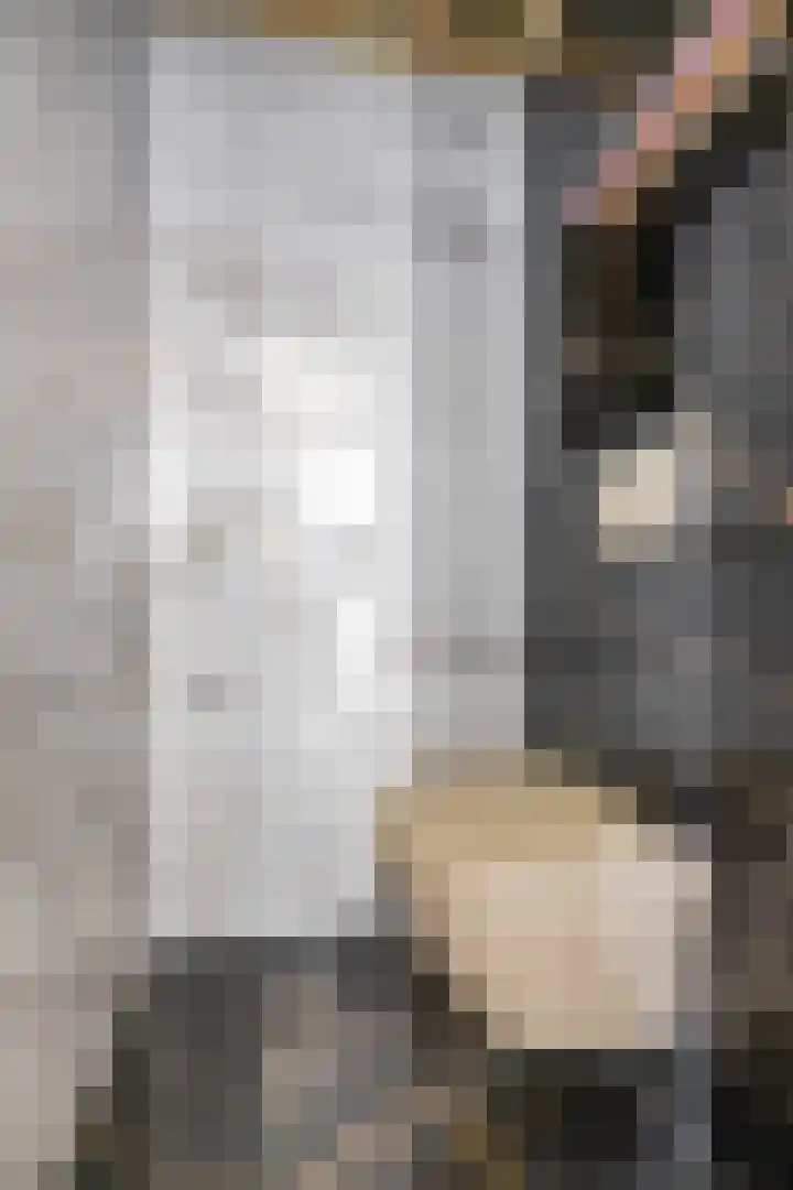 Wilhelminastraat 30 Zoutkamp thumbnail 29