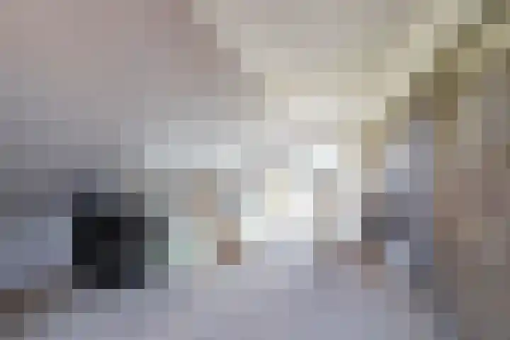 Wilhelminastraat 30 Zoutkamp thumbnail 31