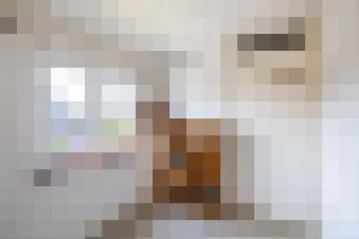 Wilhelminastraat 30 Zoutkamp thumbnail 36