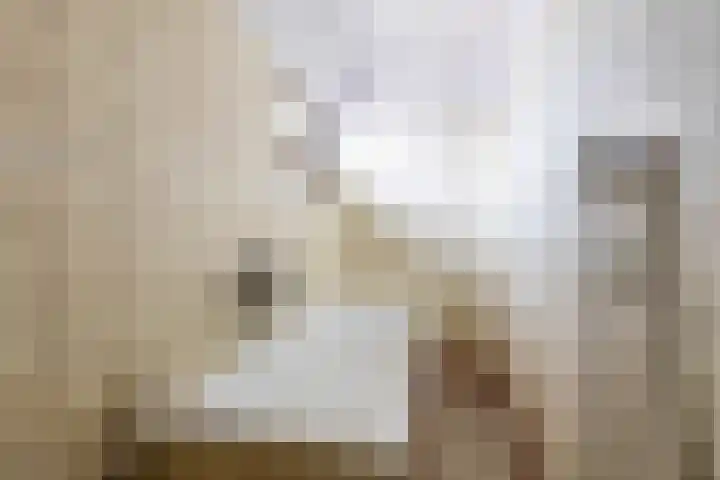 Wilhelminastraat 30 Zoutkamp thumbnail 39
