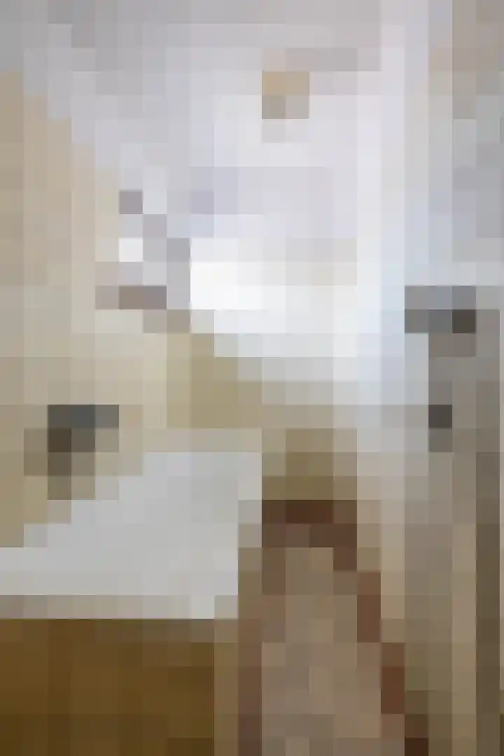 Wilhelminastraat 30 Zoutkamp thumbnail 40