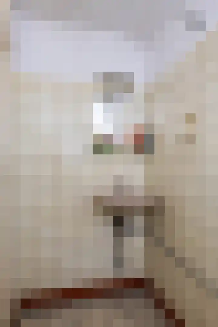 Wilhelminastraat 30 Zoutkamp thumbnail 43
