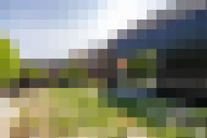 Wilhelminastraat 30 Zoutkamp thumbnail 45