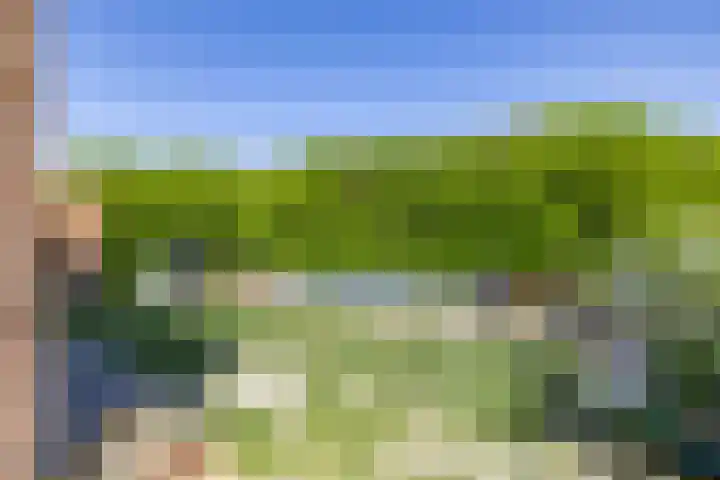 Wilhelminastraat 30 Zoutkamp thumbnail 46