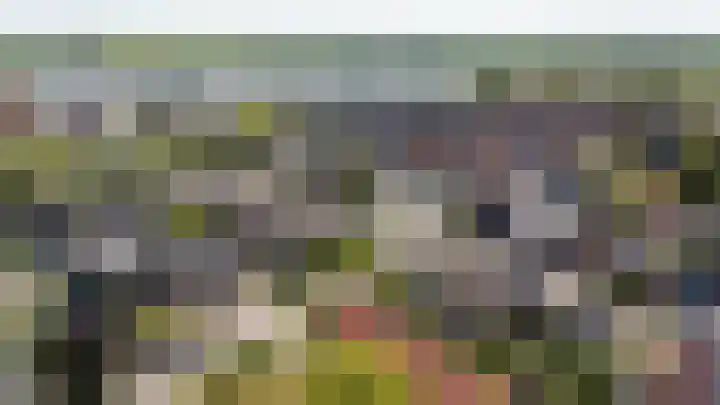 Wilhelminastraat 30 Zoutkamp thumbnail 48