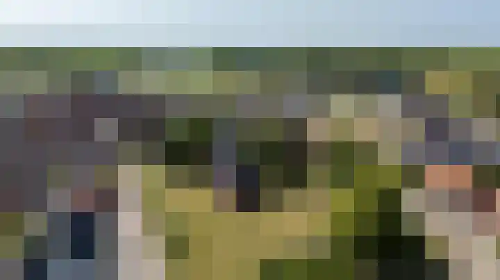 Wilhelminastraat 30 Zoutkamp thumbnail 49