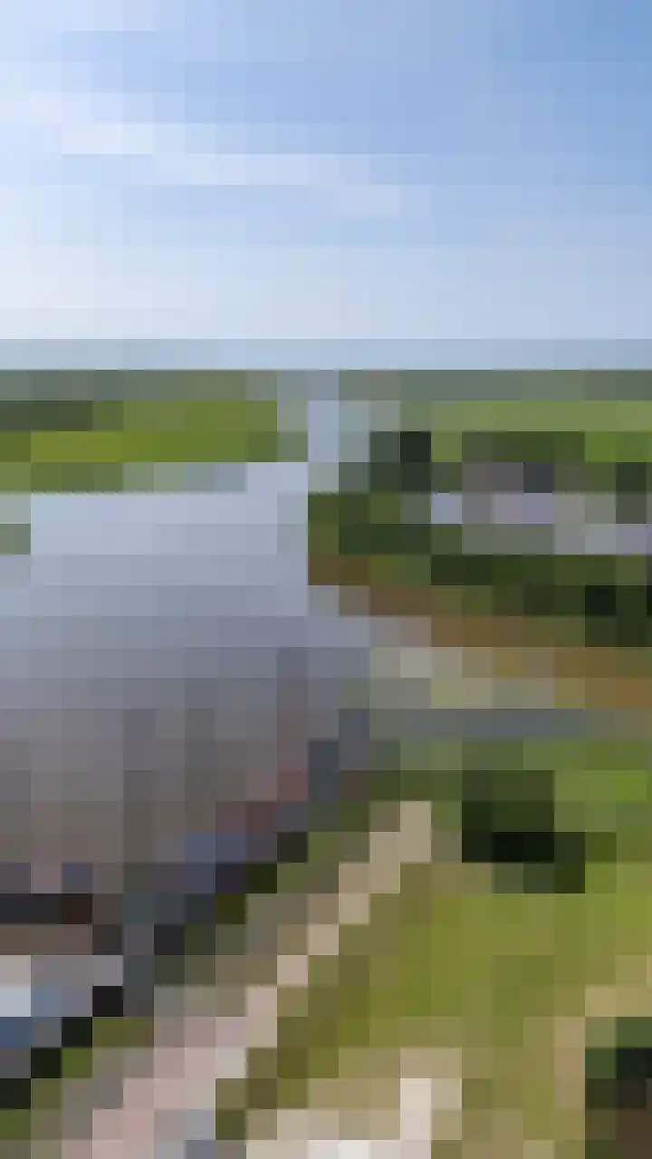 Wilhelminastraat 30 Zoutkamp thumbnail 50