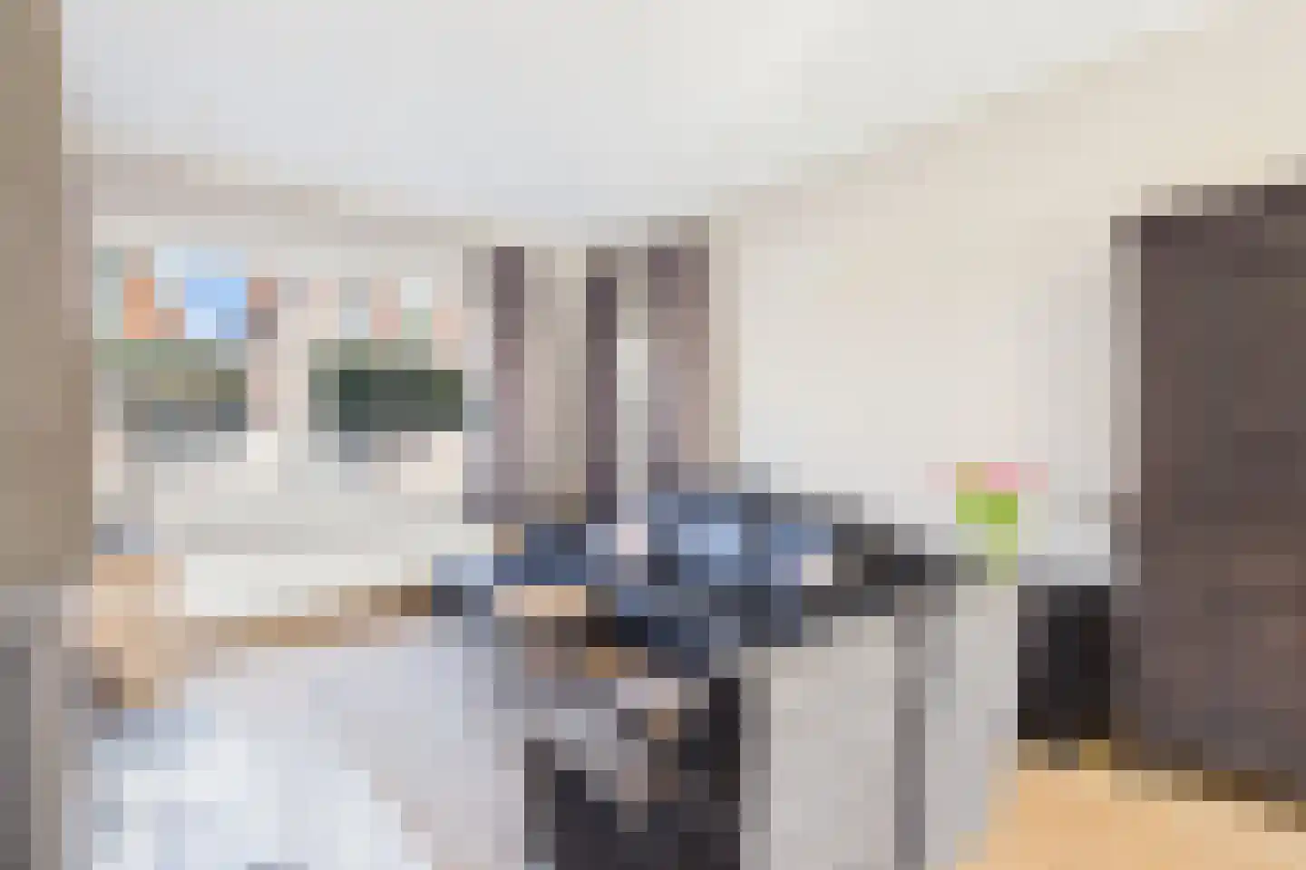 Wilhelminastraat 31 Axel thumbnail 6