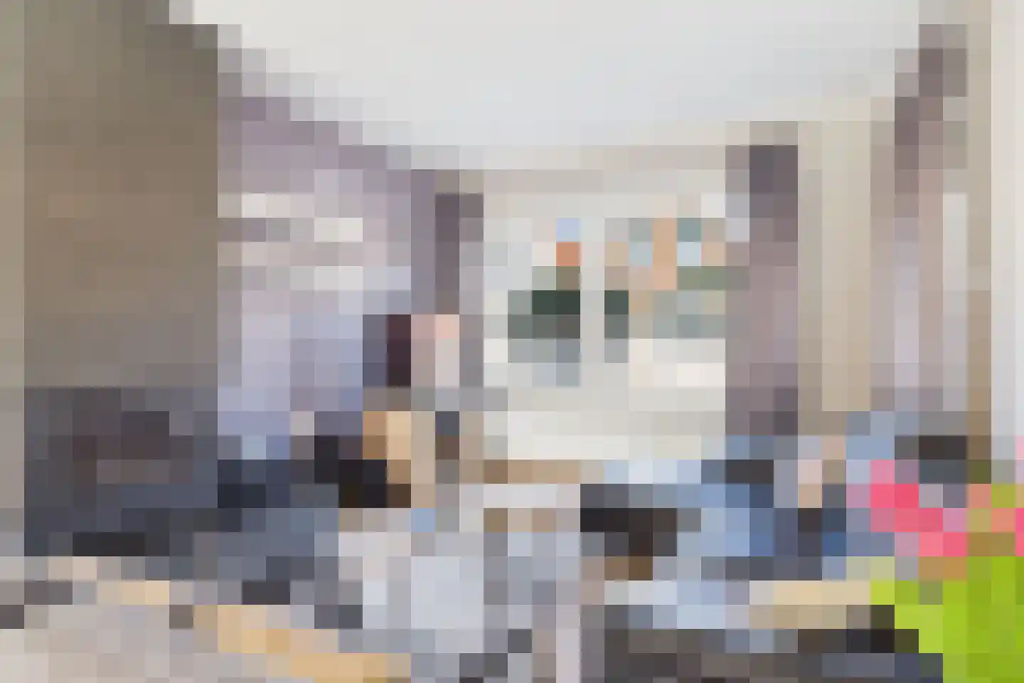 Wilhelminastraat 31 Axel thumbnail 7