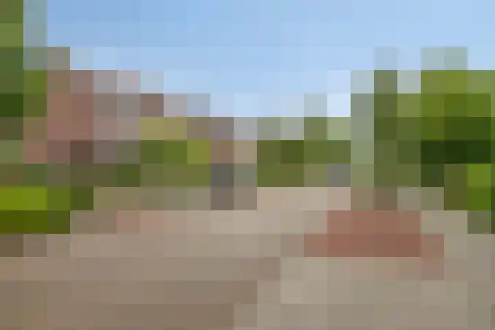 Wilhelminastraat 31 Berkel en Rodenrijs thumbnail 38
