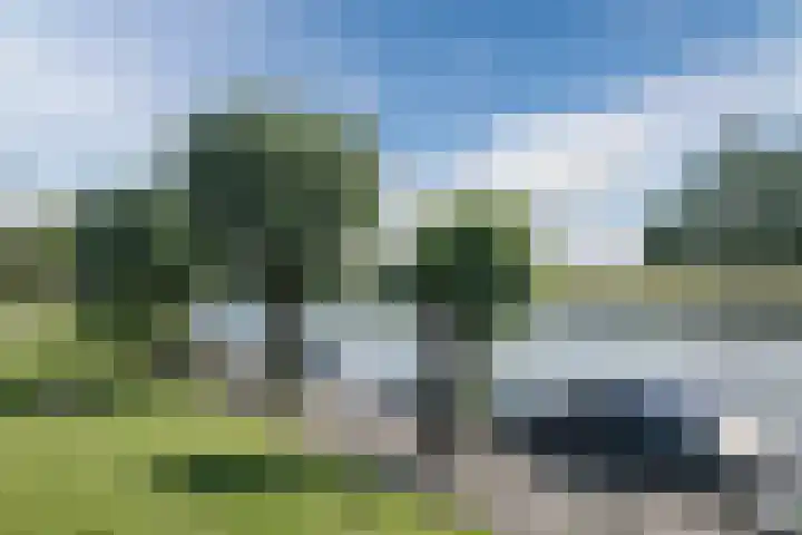 Wilhelminastraat 31 Broek op Langedijk thumbnail 38