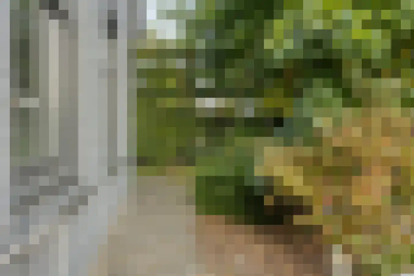 Wilhelminastraat 31 Fijnaart thumbnail 22