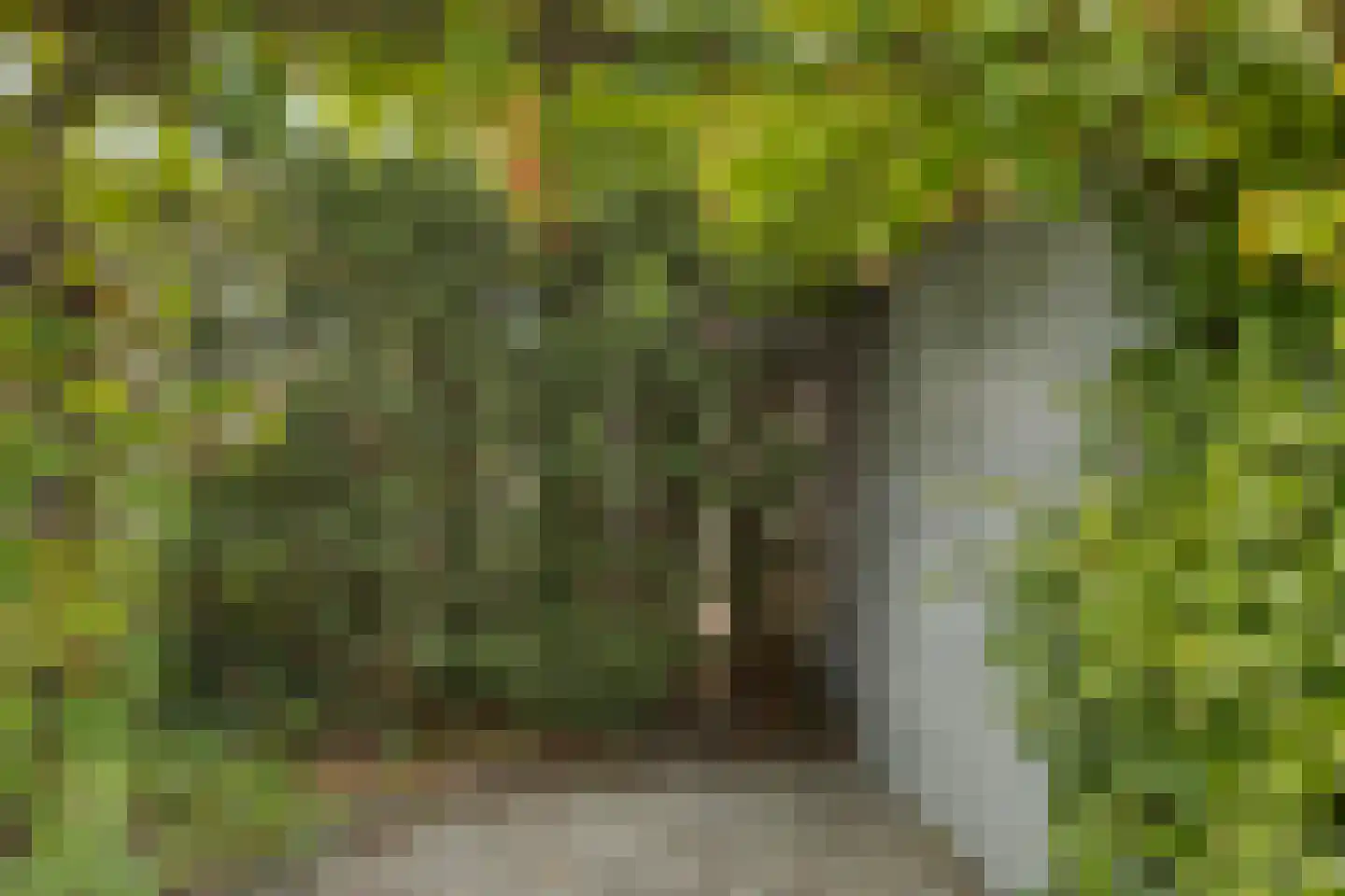 Wilhelminastraat 31 Fijnaart thumbnail 24