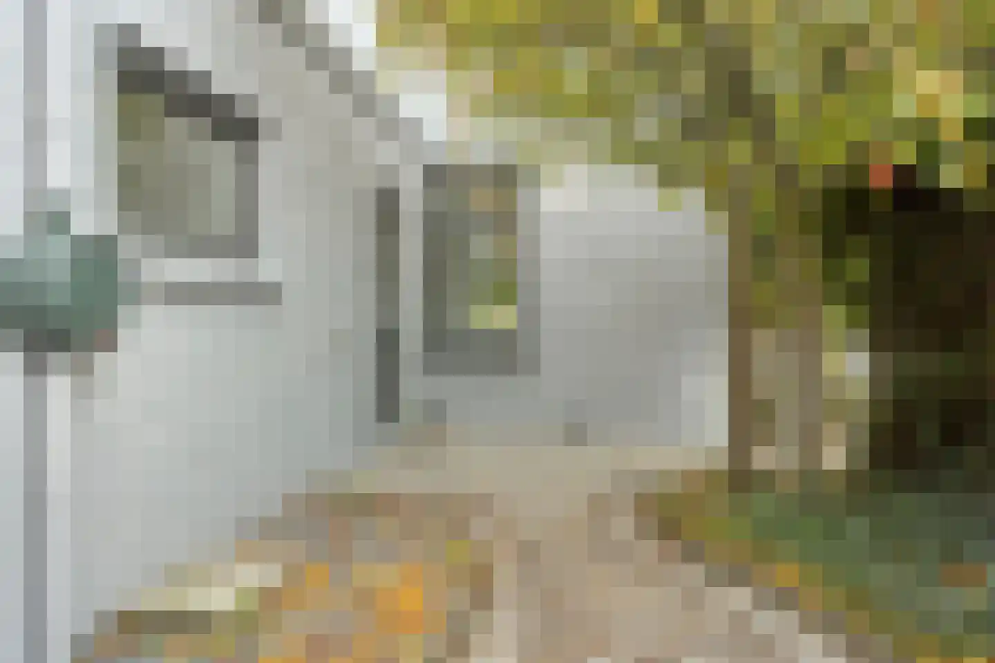 Wilhelminastraat 31 Fijnaart thumbnail 27