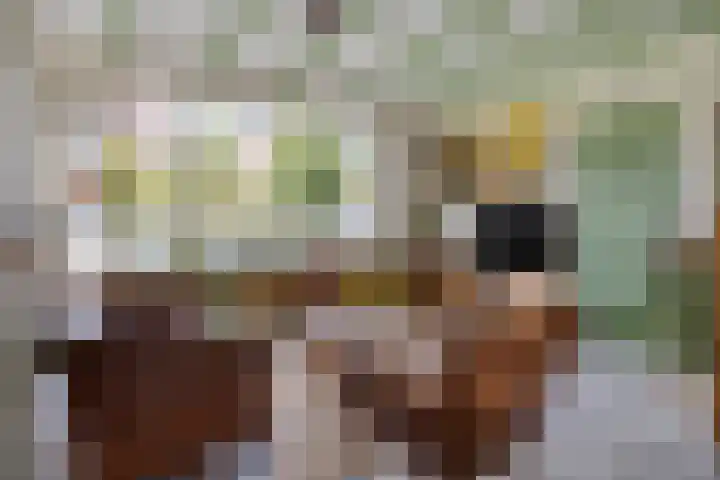 Wilhelminastraat 31 Oudelande thumbnail 10
