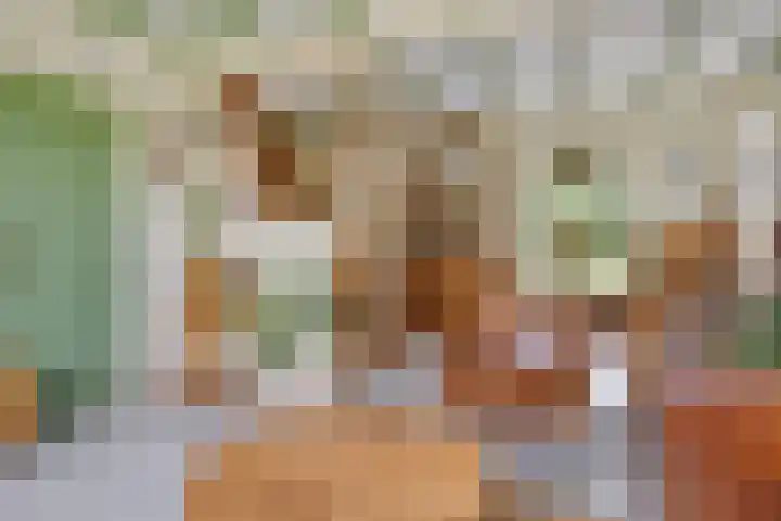 Wilhelminastraat 31 Oudelande thumbnail 11